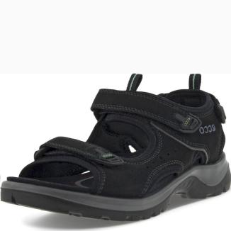 Ecco 82204412001