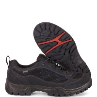 Vandringssko Ecco Xpedition GTX