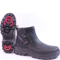 Ilves broddkänga dam Soppero